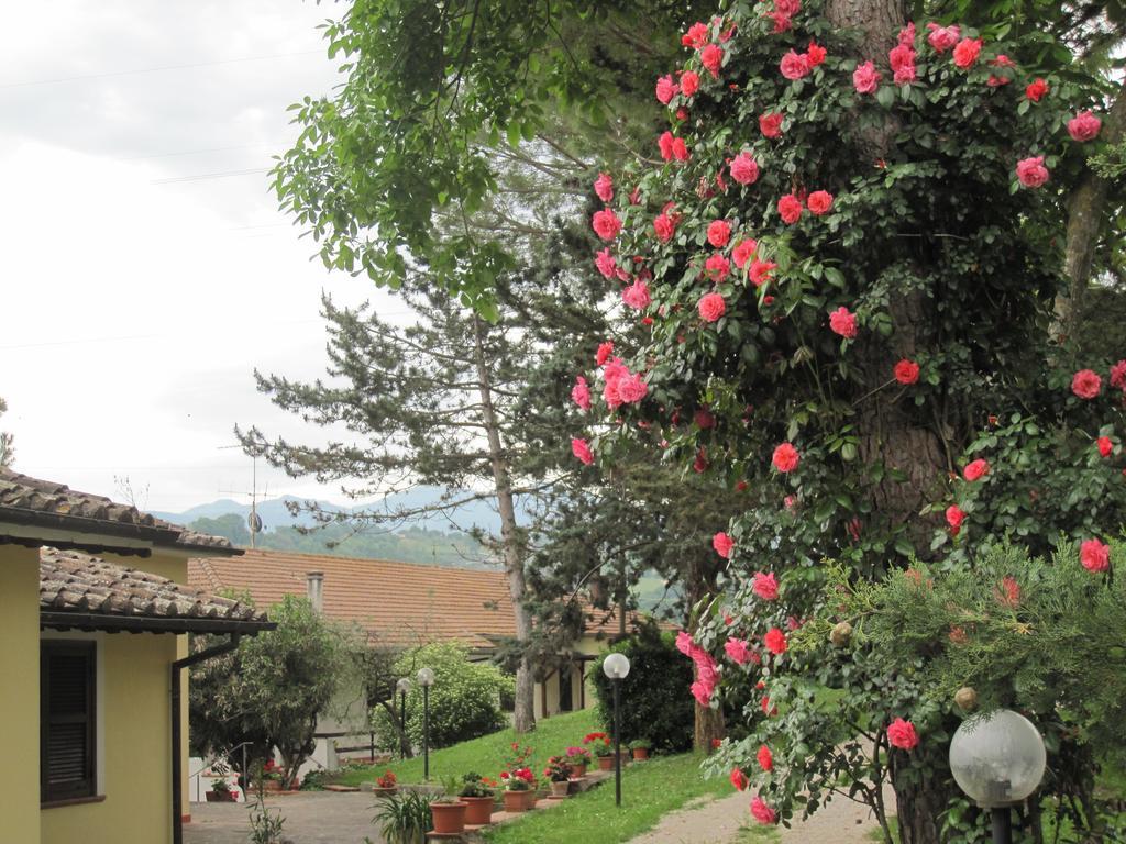 Valle Degli Ulivi Appartamento Terni Exterior photo